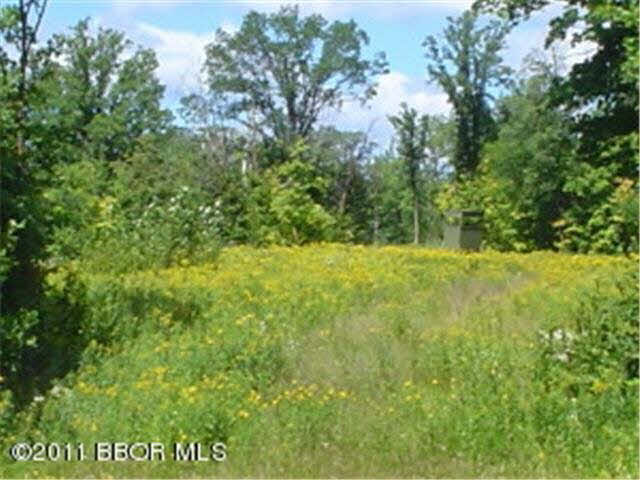 Hillcrest Road Bemidji, MN 56601 - Photo 3 of 3 Gallery Image 3