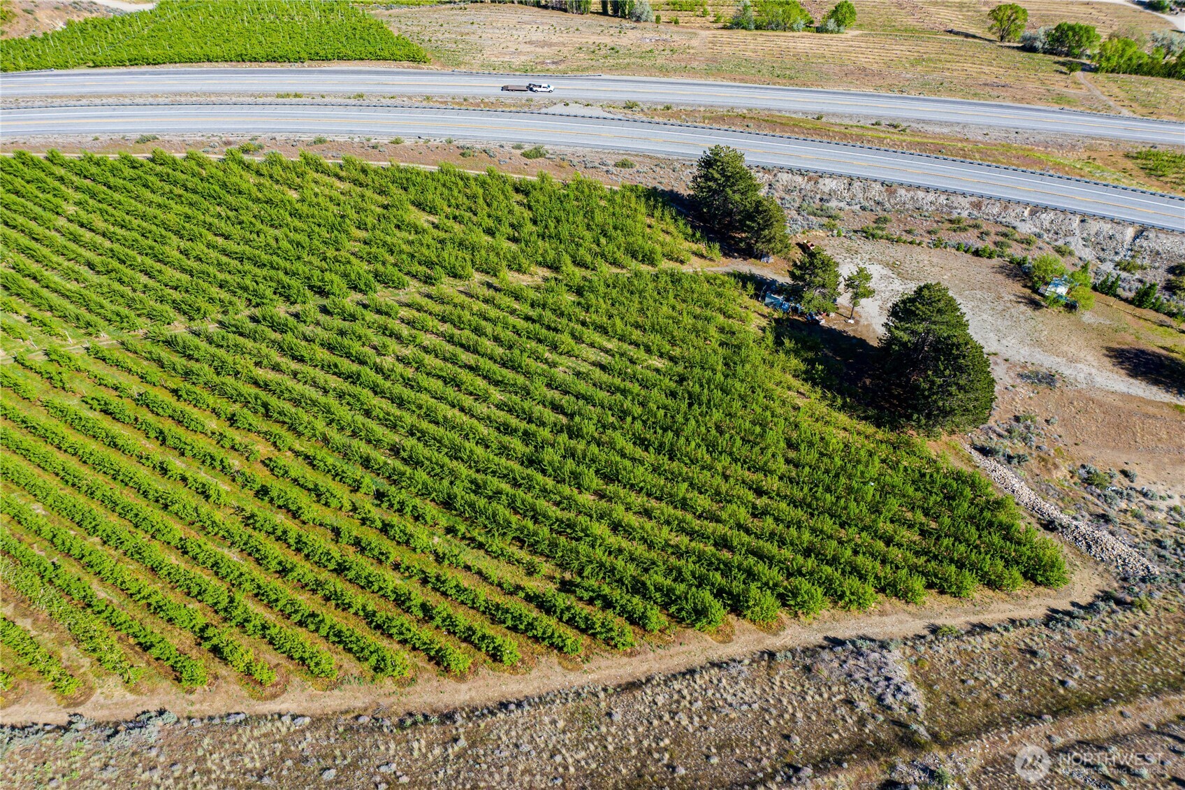 0 Us Highway Chelan, WA 98816 - Photo 13 of 40 a view of a garden