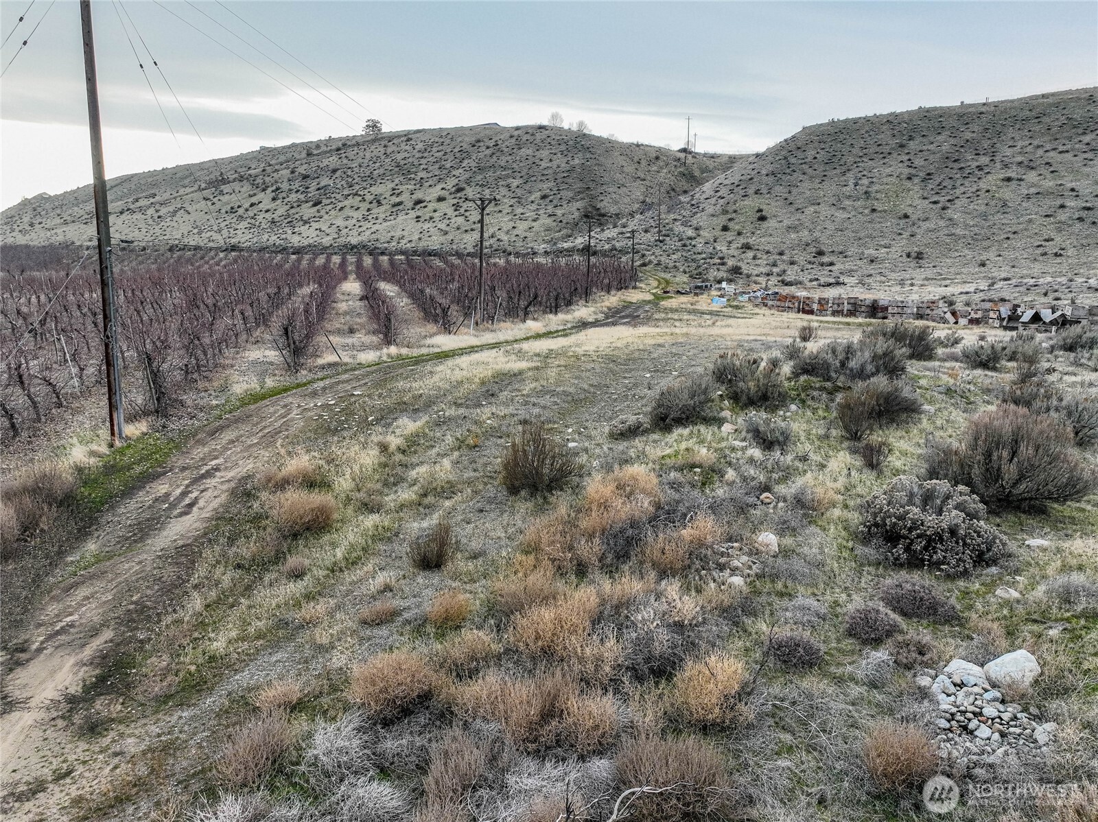 0 Us Highway Chelan, WA 98816 - Photo 26 of 40 a view of a dry yard