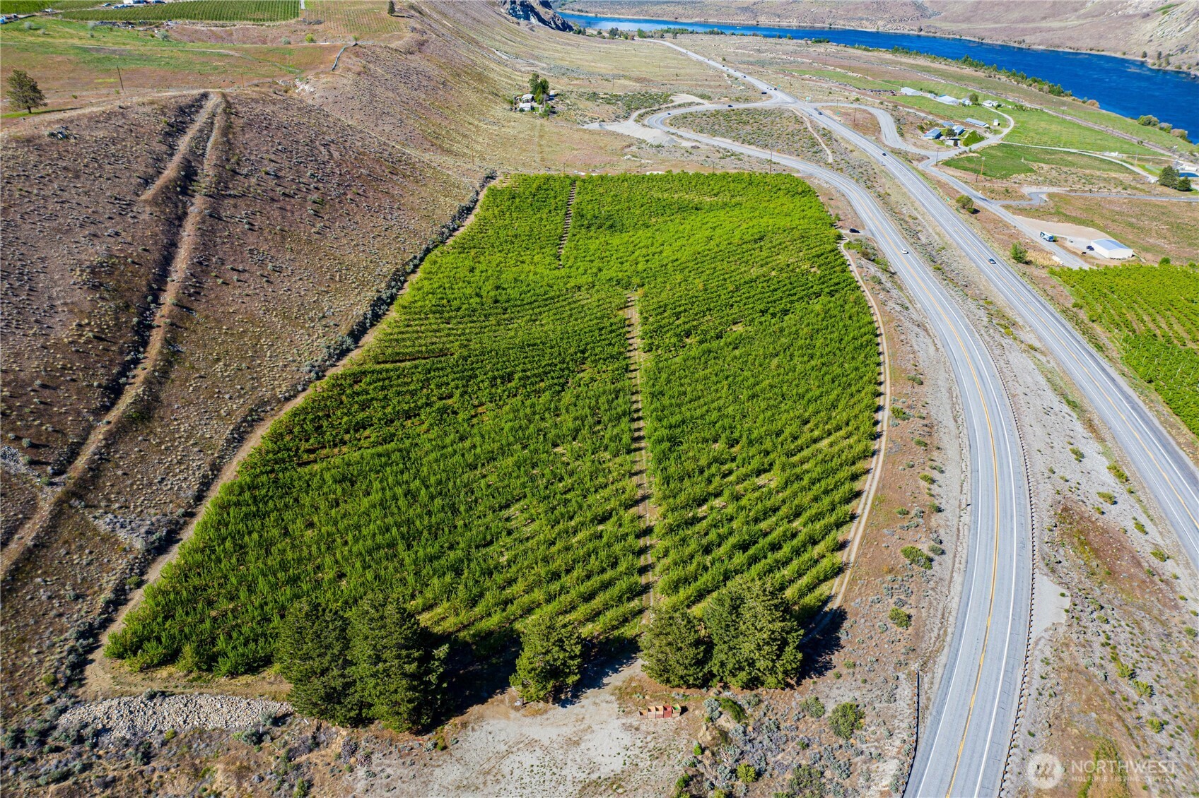 0 Us Highway Chelan, WA 98816 - Photo 5 of 40 a view of a garden