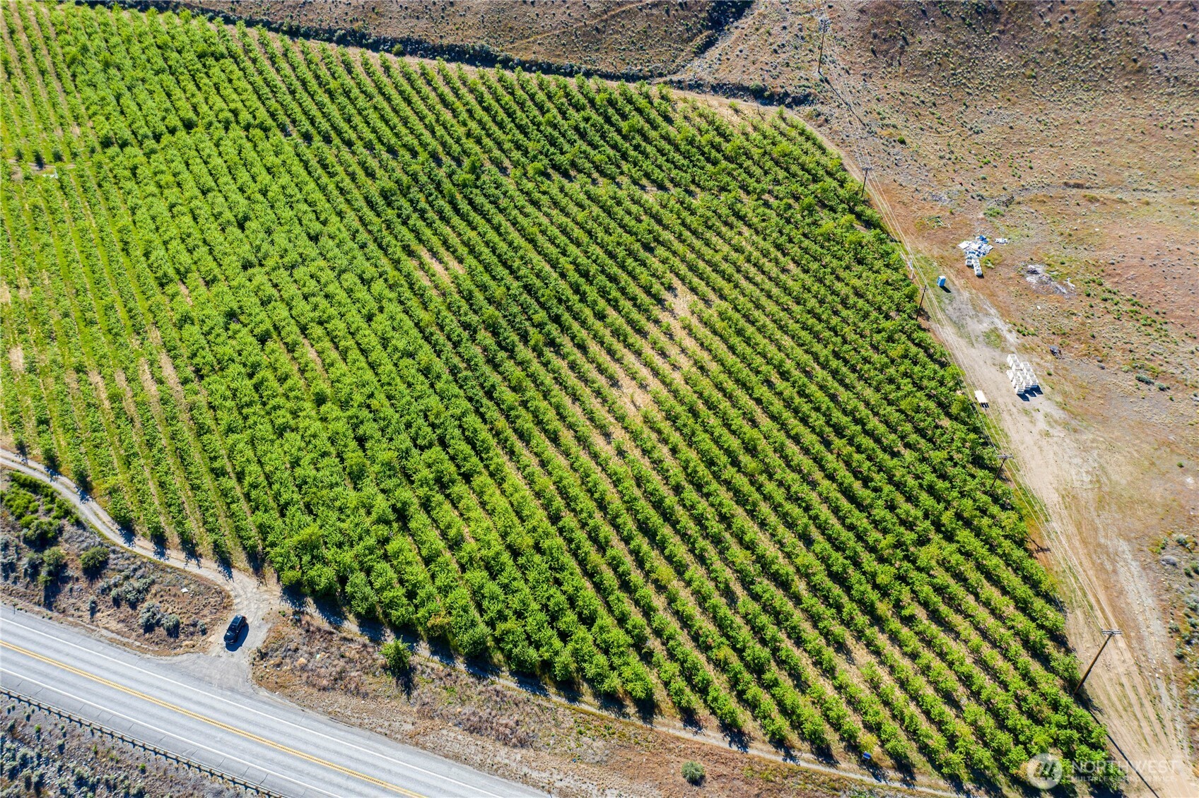 0 Us Highway Chelan, WA 98816 - Photo 8 of 40 a view of a garden with a plant