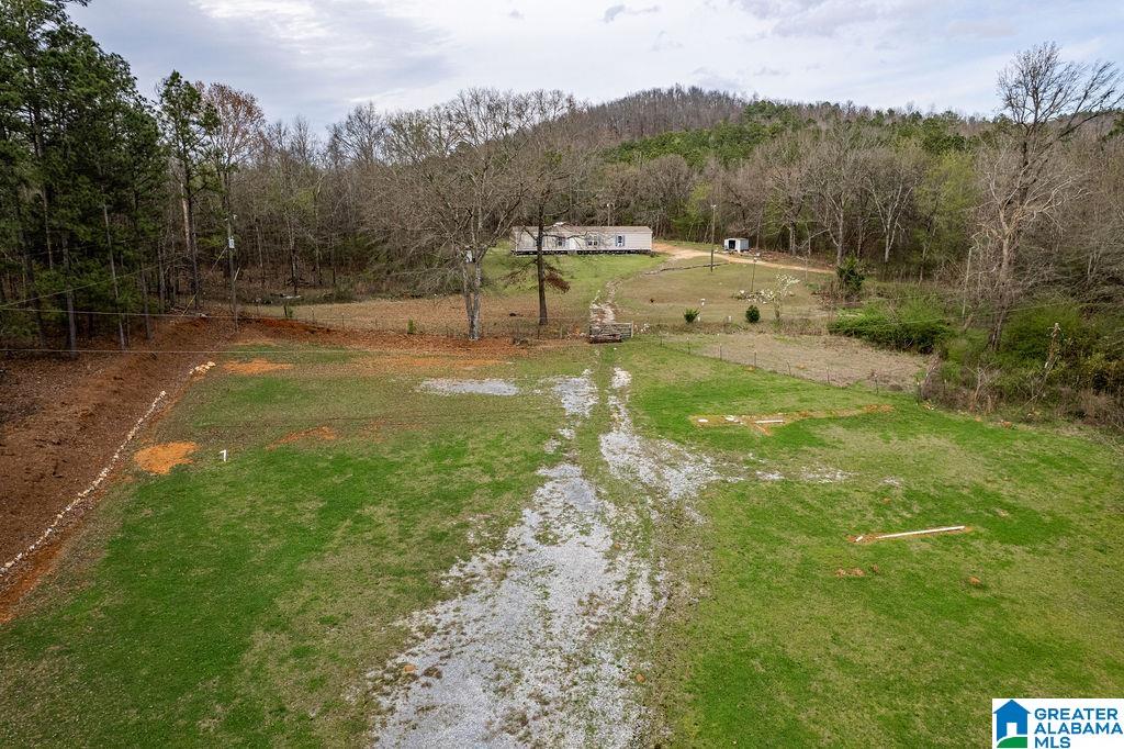 12880 Plant Road Alpine, AL 35014 - Photo 26 of 28