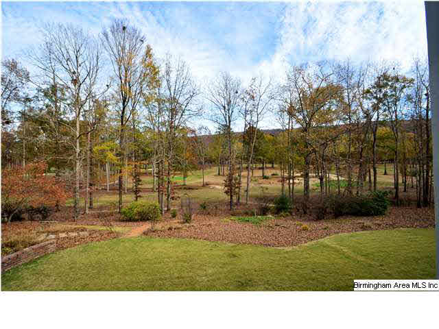 5 Winged Foot Birmingham, AL 35242 - Photo 6 of 24