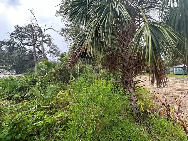 $58,000 | 9 7th Street East, Steinhatchee, FL 32359