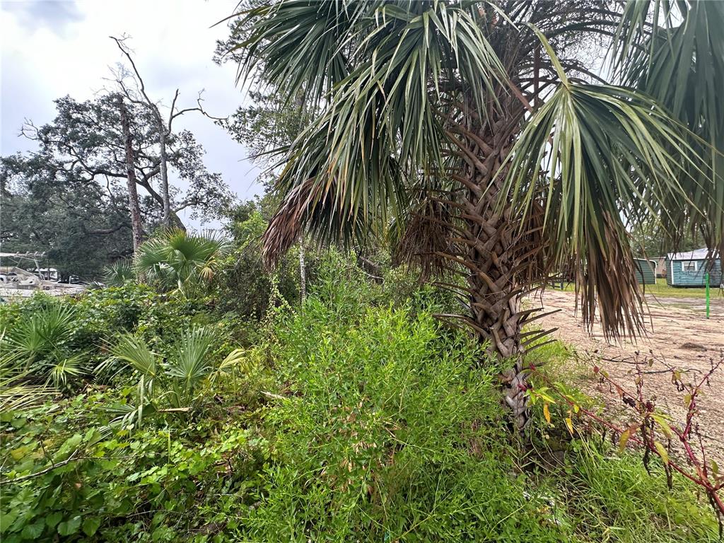 9 7th Street East Steinhatchee, FL 32359 - Photo 3 of 5