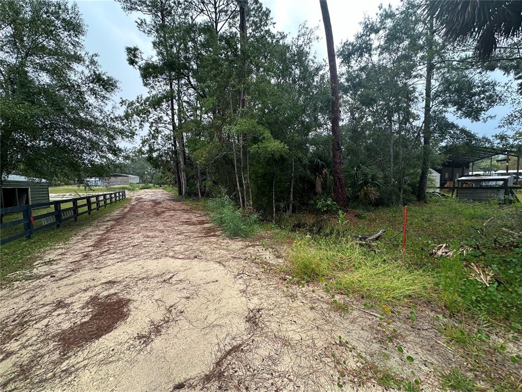 9 7th Street East Steinhatchee, FL 32359 - Photo 5 of 5