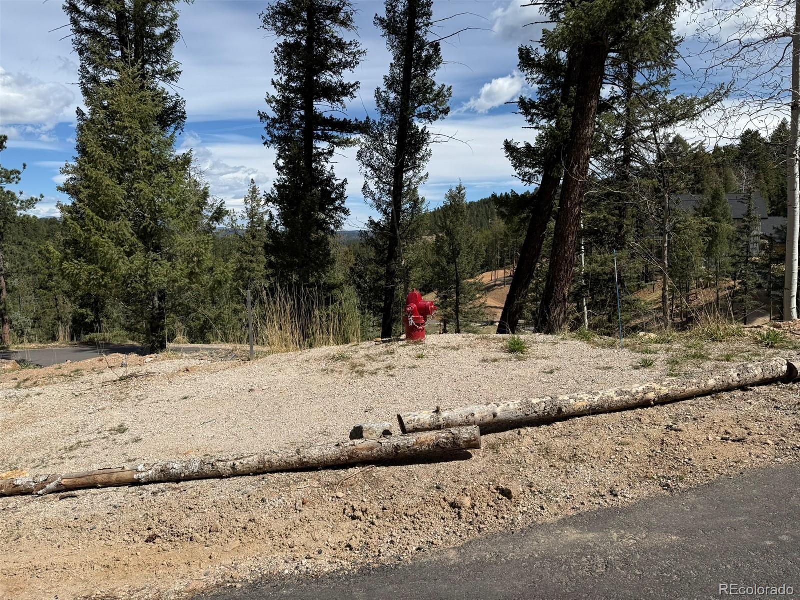 6845 Lynx Lair Road Evergreen, CO 80439 - Photo 11 of 15