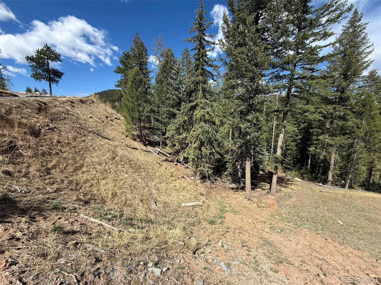 6845 Lynx Lair Road Evergreen, CO 80439 - Photo 4 of 15