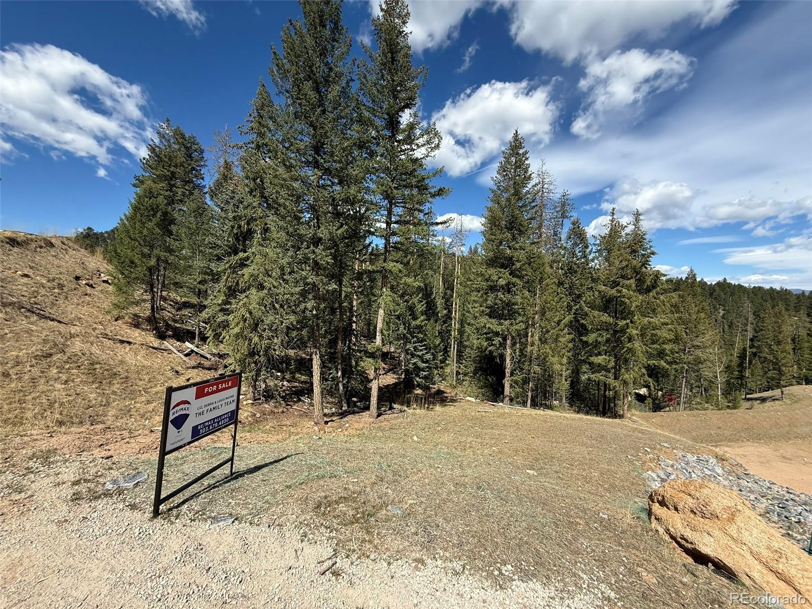 6845 Lynx Lair Road Evergreen, CO 80439 - Photo 5 of 15