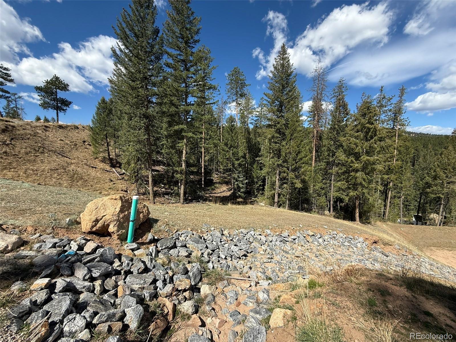 6845 Lynx Lair Road Evergreen, CO 80439 - Photo 6 of 15