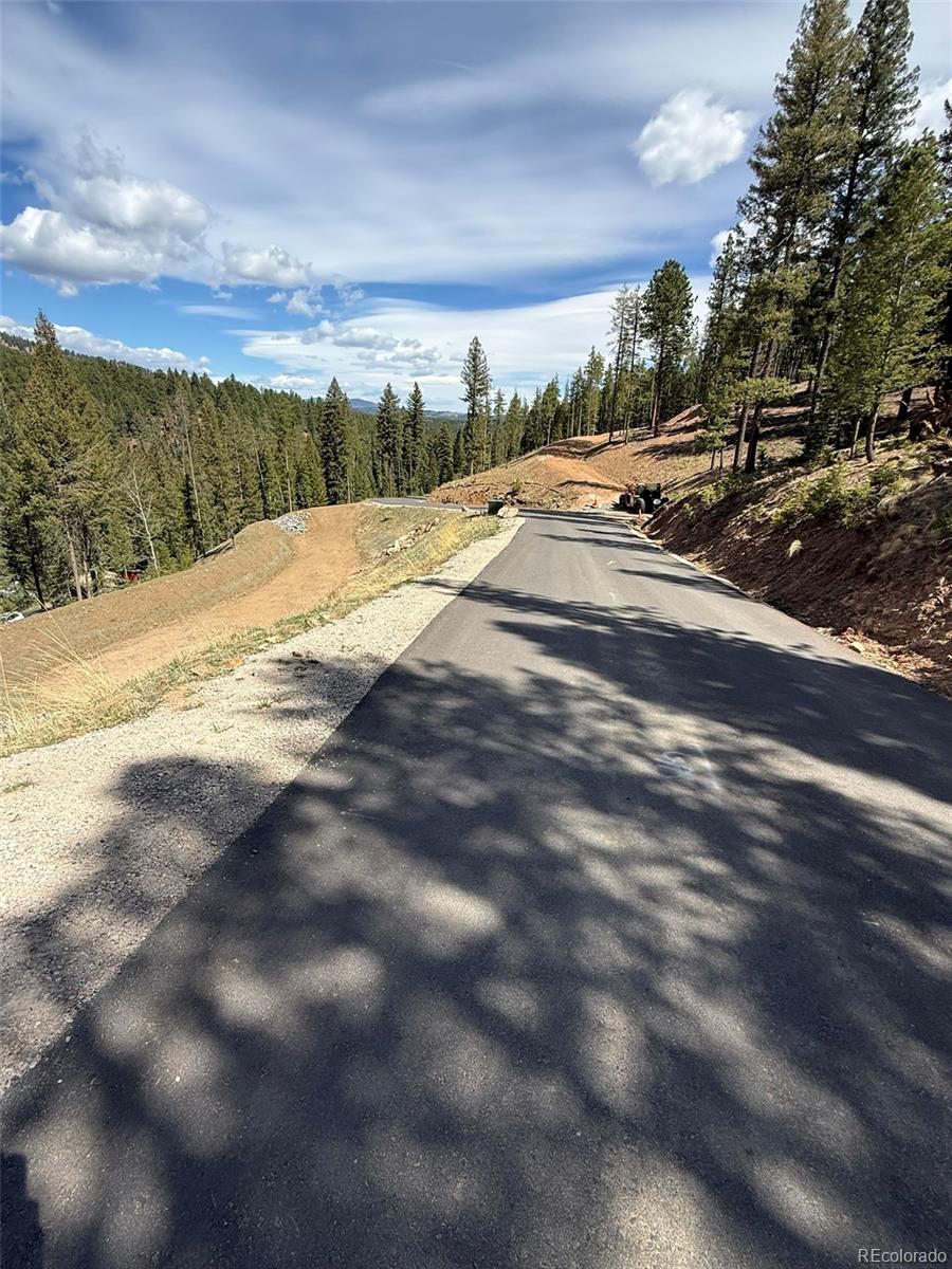 6845 Lynx Lair Road Evergreen, CO 80439 - Photo 8 of 15