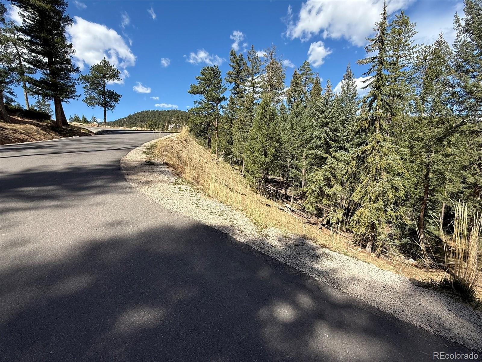 6845 Lynx Lair Road Evergreen, CO 80439 - Photo 9 of 15