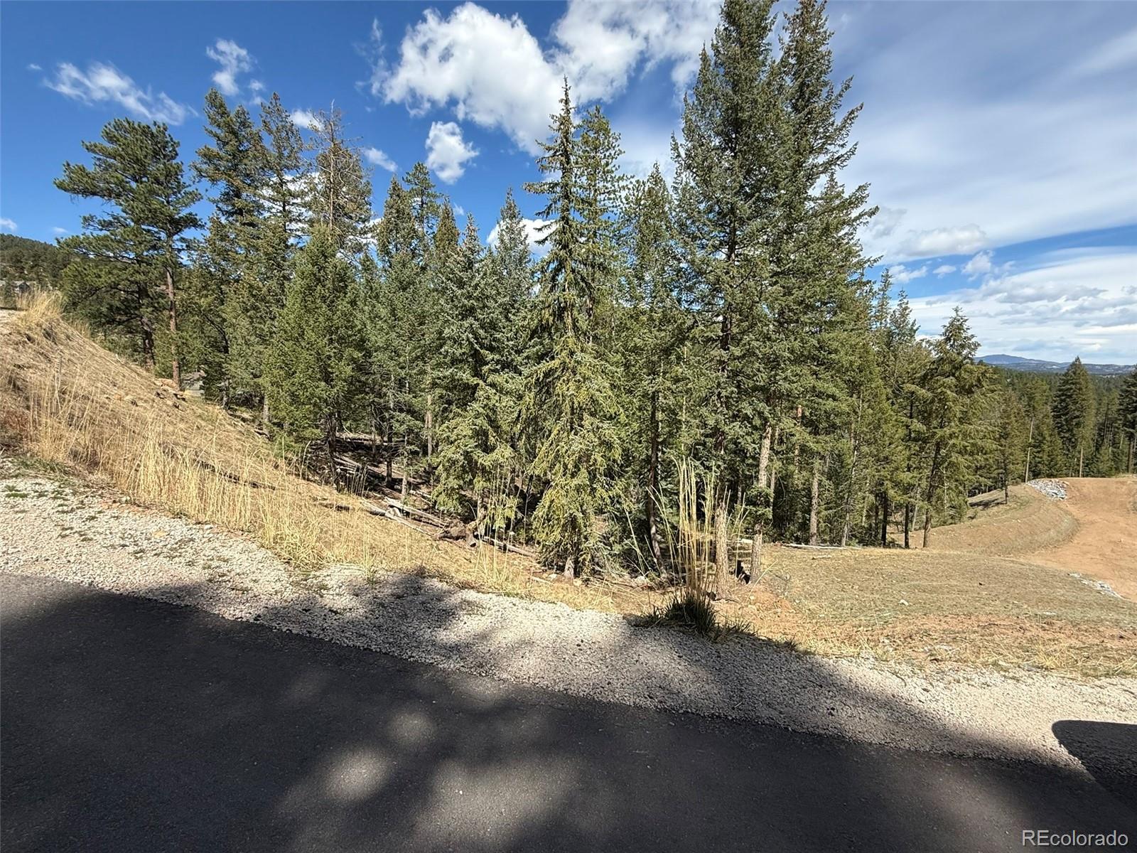 6845 Lynx Lair Road Evergreen, CO 80439 - Photo 10 of 15