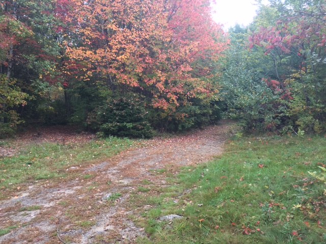 Lot 4 Meredith Center Road Meredith, NH 03253 - Photo 1 of 6