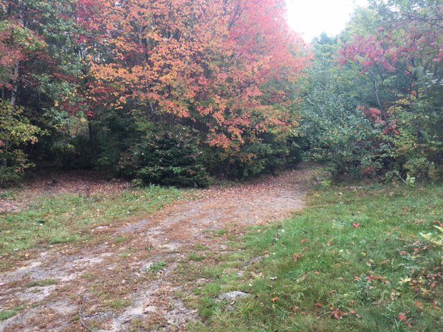 Lot 4 Meredith Center Road Meredith, NH 03253 - Photo 2 of 6