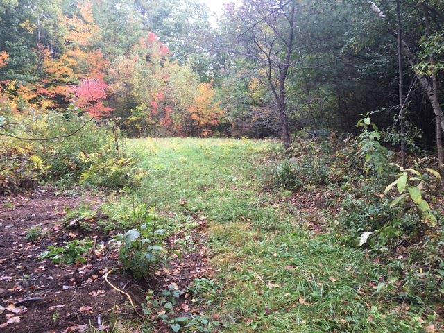 Lot 4 Meredith Center Road Meredith, NH 03253 - Photo 4 of 6