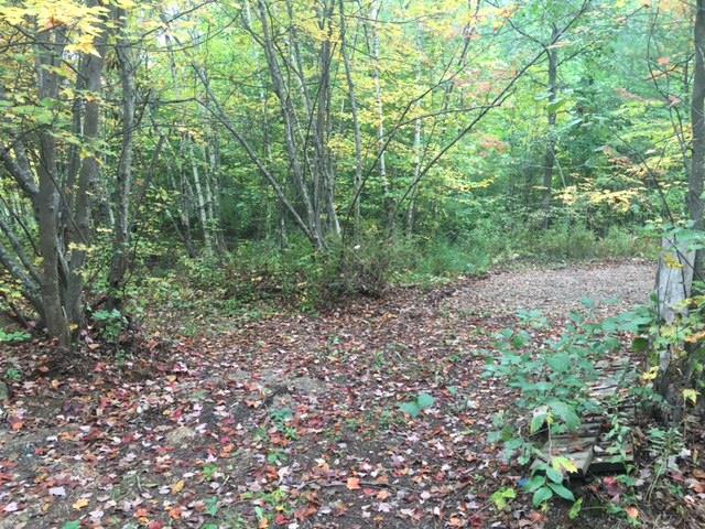 Lot 4 Meredith Center Road Meredith, NH 03253 - Photo 6 of 6