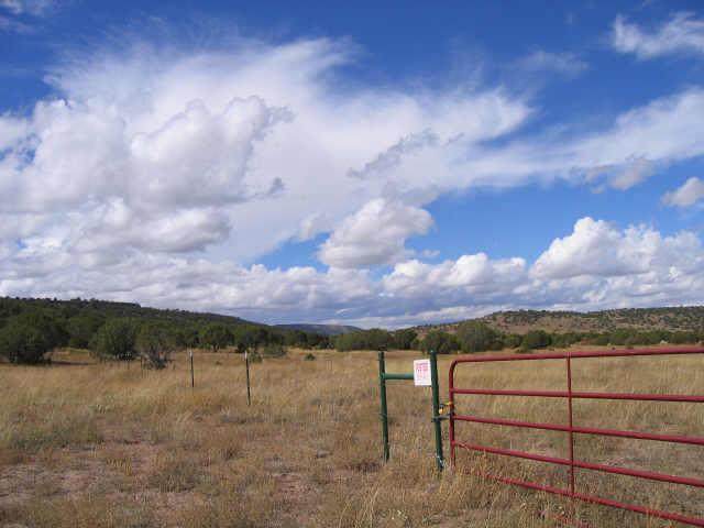 0 Mesa Redondo Ranch Road, Unit 146 Concho, AZ 85924 - Photo 1 of 4 Primary Photo