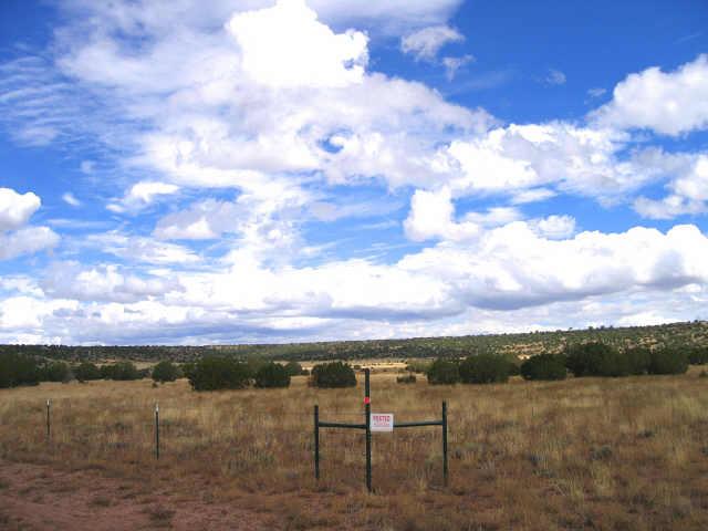 0 Mesa Redondo Ranch Road, Unit 146 Concho, AZ 85924 - Photo 3 of 4 Additional Photo
