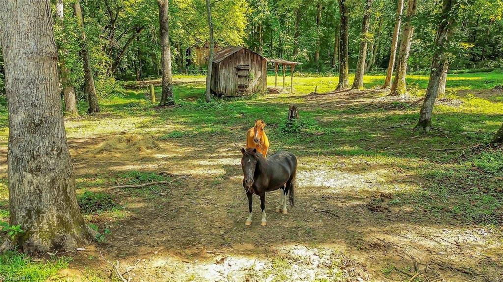 233 East Walker Road Elkin, NC 28621 - Photo 5 of 47 Gallery Image 5