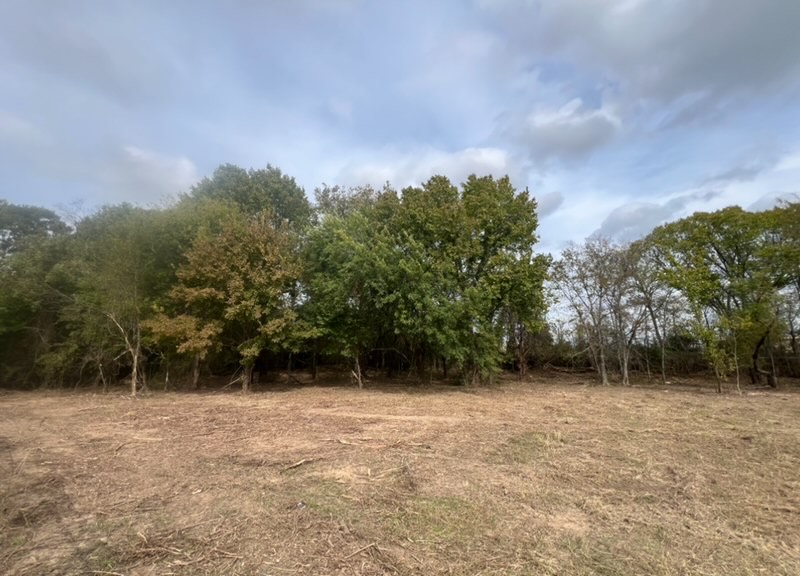 a view of outdoor space with green field and trees