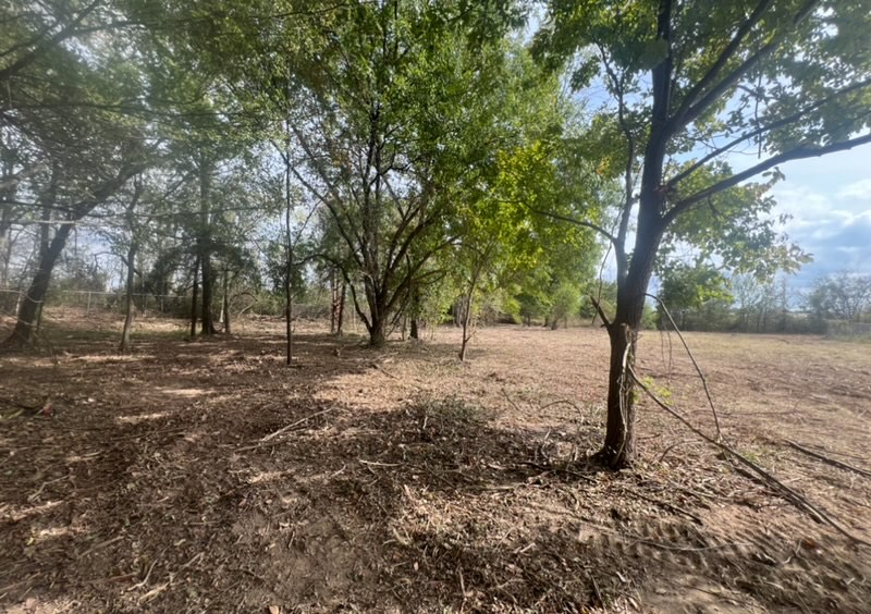 Tbd Clarks Lane Bryan, TX 77808 - Photo 2 of 12 a view of a forest with trees