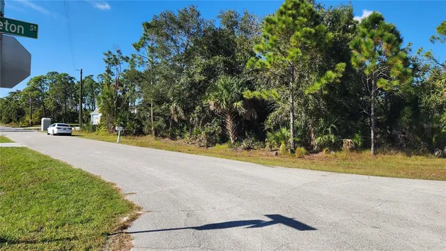 a view of a park with plants and trees