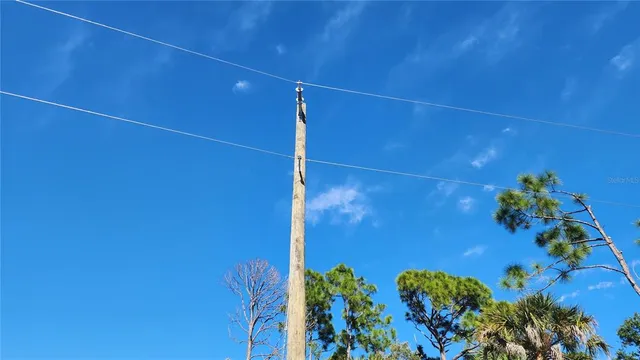 a view of a flower room with a flower pot