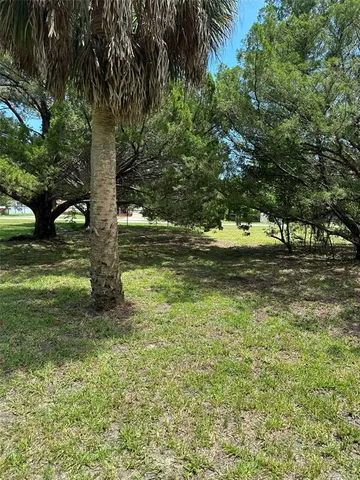 a view of a yard with a tree