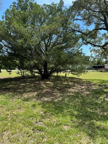 a view of outdoor space with trees all around