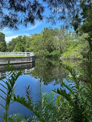 a view of a tree with a yard