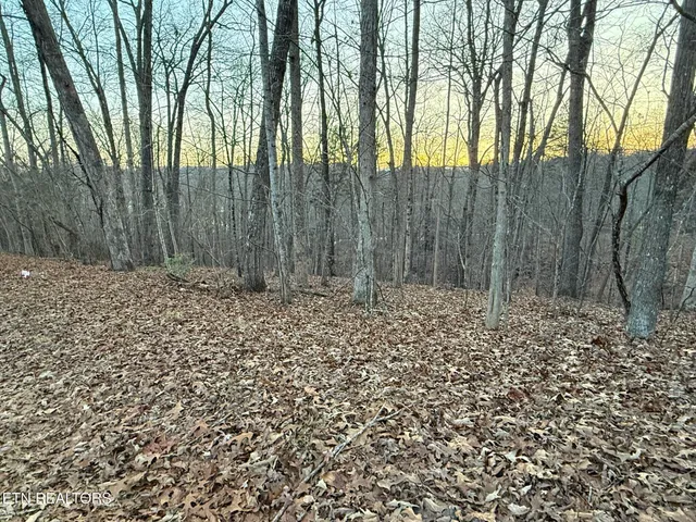 $44,900 | Big Creek Road, La Follette, TN 37766