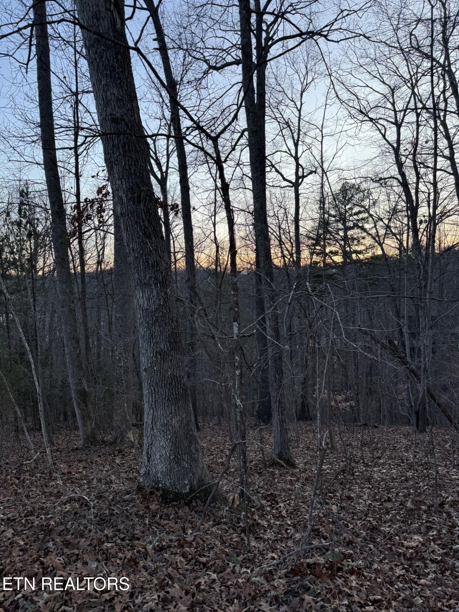 Big Creek Road La Follette, TN 37766 - Photo 11 of 13 IMG_2047