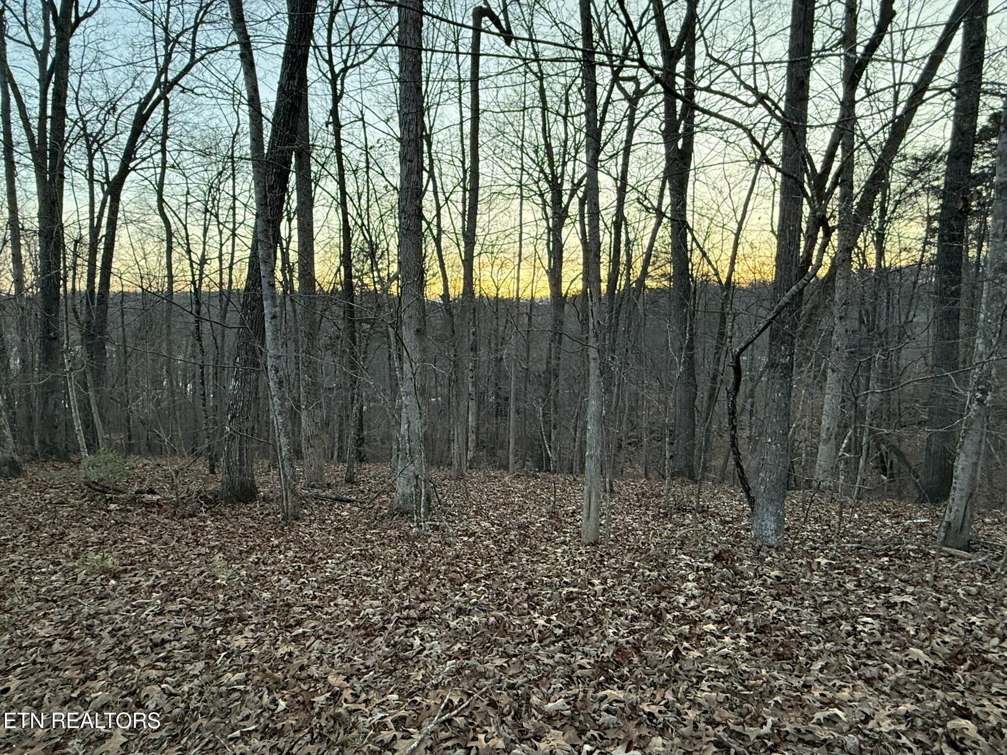 Big Creek Road La Follette, TN 37766 - Photo 2 of 13 IMG_2045