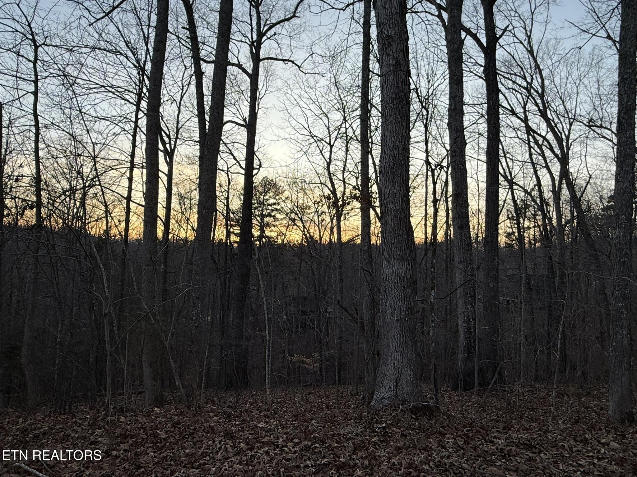 Big Creek Road La Follette, TN 37766 - Photo 4 of 13 IMG_2033