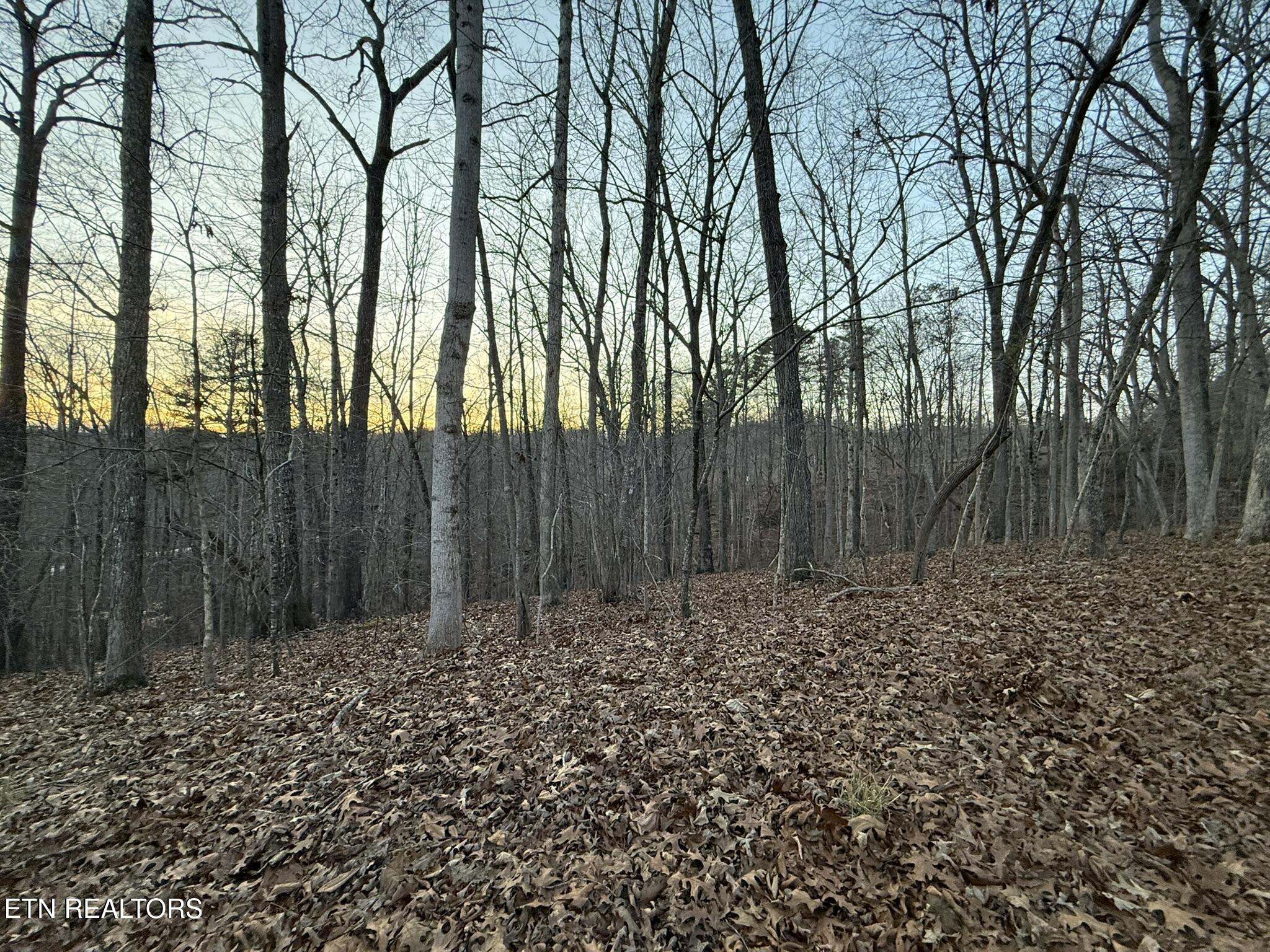 Big Creek Road La Follette, TN 37766 - Photo 5 of 13 IMG_2035