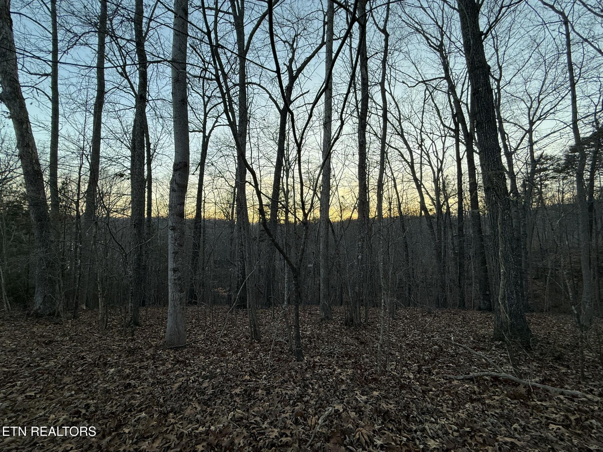 Big Creek Road La Follette, TN 37766 - Photo 6 of 13 IMG_2036