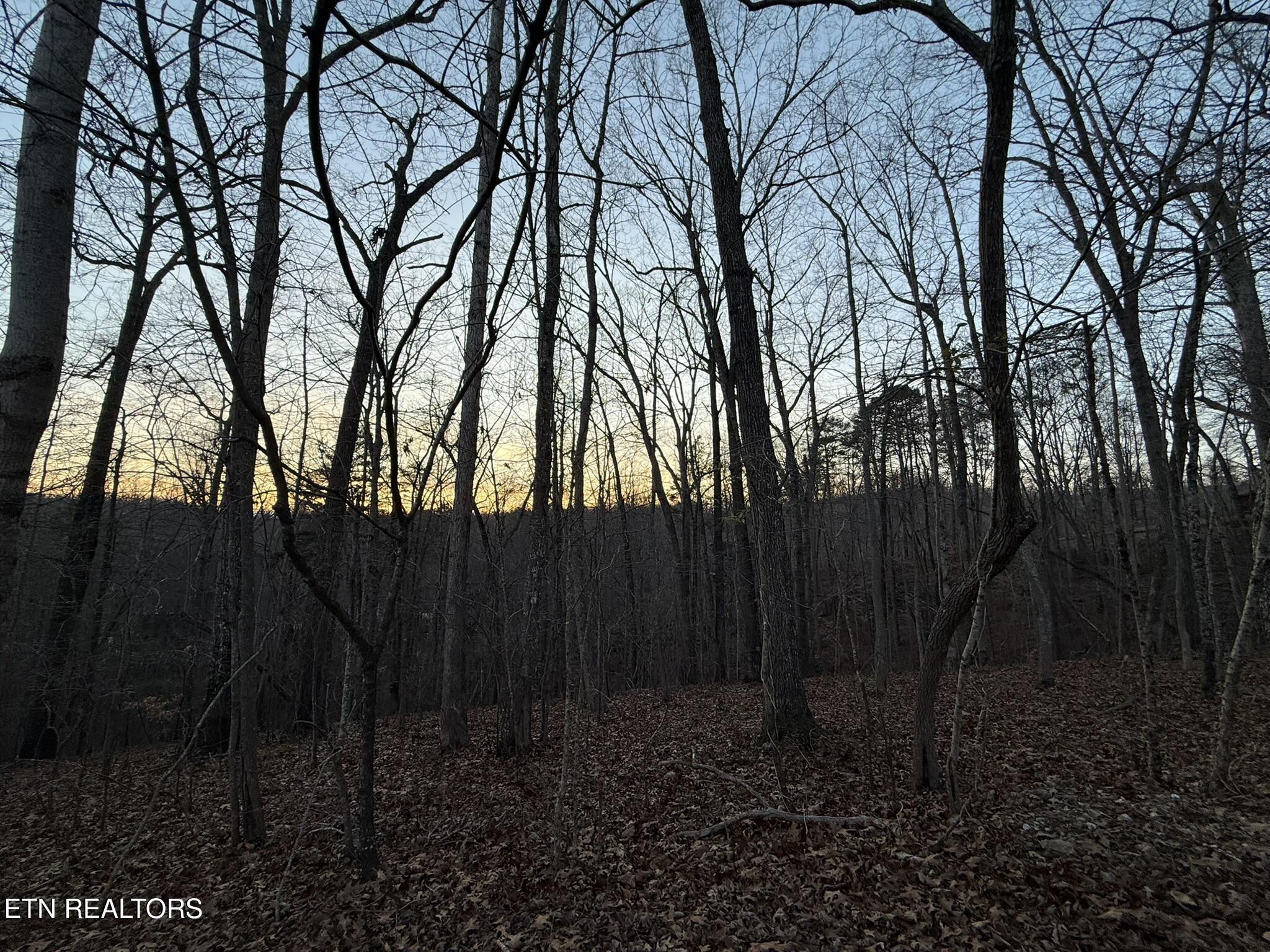 Big Creek Road La Follette, TN 37766 - Photo 7 of 13 IMG_2037