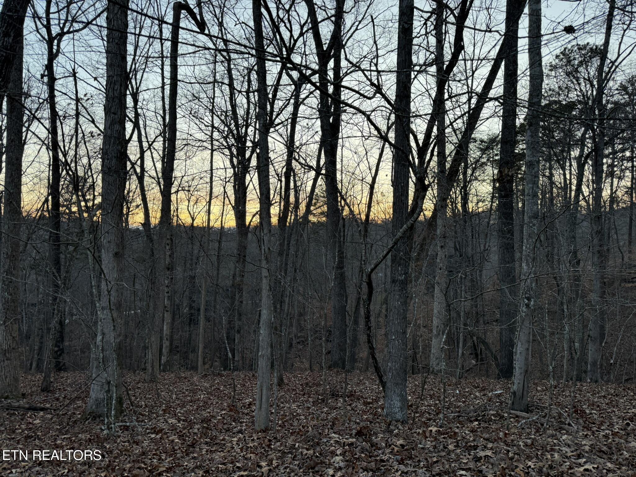 Big Creek Road La Follette, TN 37766 - Photo 10 of 13 IMG_2044