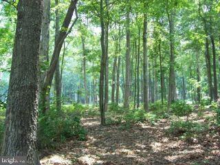 95 Windjammer Road Berlin, MD 21811 - Photo 12 of 15
