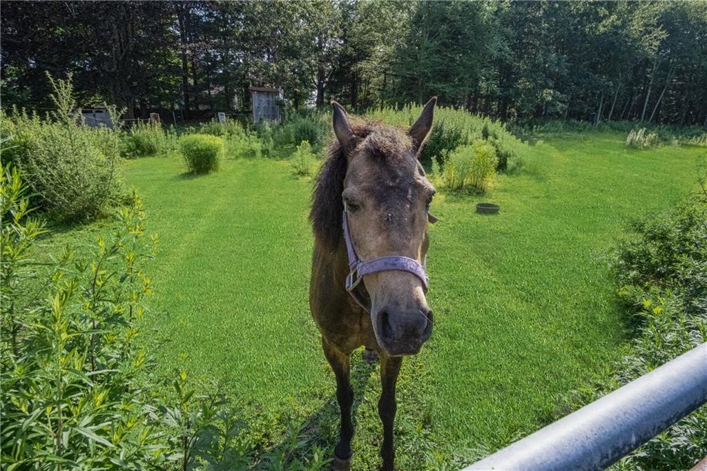 201 Chase Hill Road Hopkinton, RI 02804 - Photo 9 of 38 Gallery Image 9