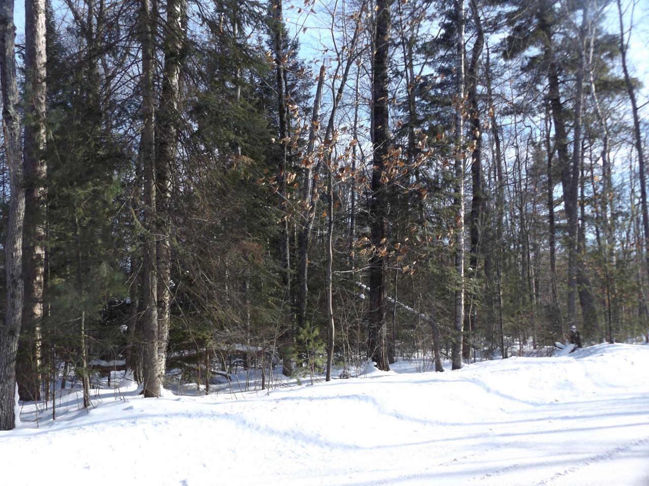 Three O Neil Road, Unit LOT #15 Eagle River, WI 54521 - Photo 6 of 16 Gallery Image 6