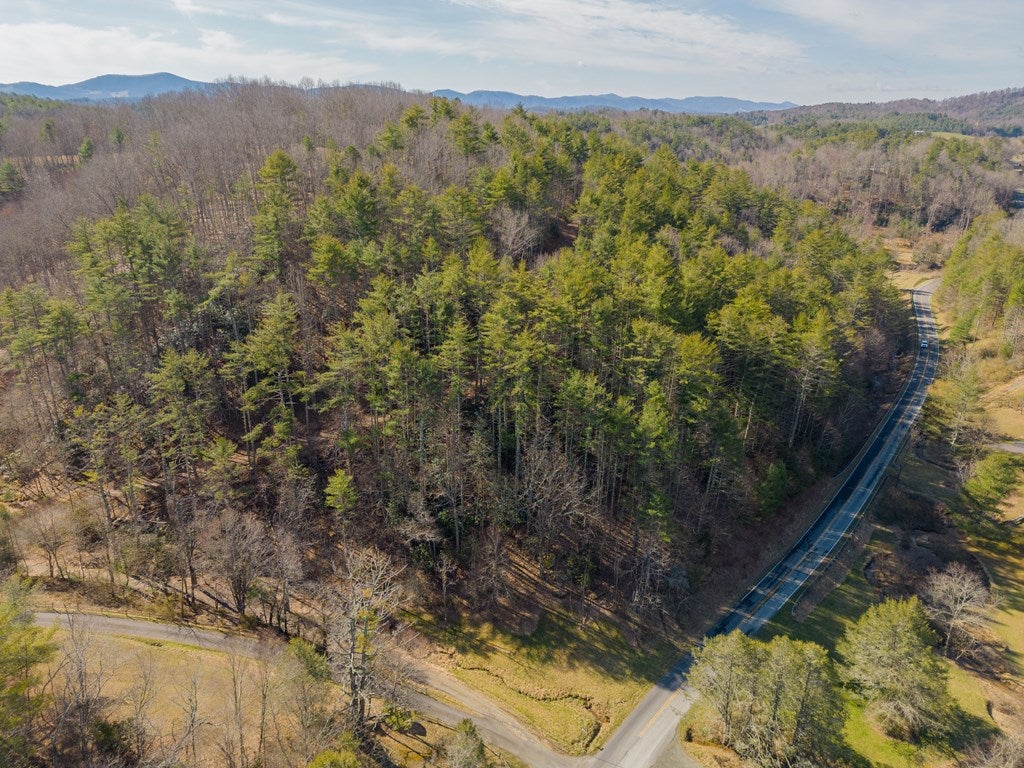 12-acres Powerhouse Road, Unit 14D Independence, VA 24348 - Photo 25 of 44 Gallery Image 25