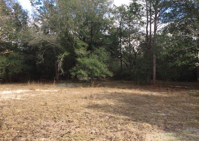 350 Robbins Road DeFuniak Springs, FL 32433 - Photo 13 of 13 a view of a yard with a trees
