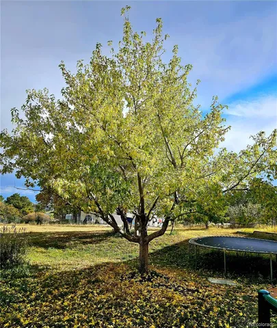 $995,000 | 16435 Fairchild Avenue, Monument, CO 80132