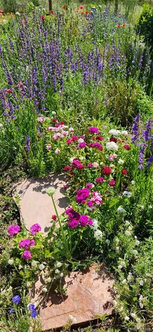 $995,000 | 16435 Fairchild Avenue, Monument, CO 80132