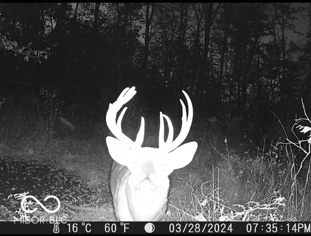 $485,000 | 8112 West County Road 1000 North, Jamestown, IN 46147