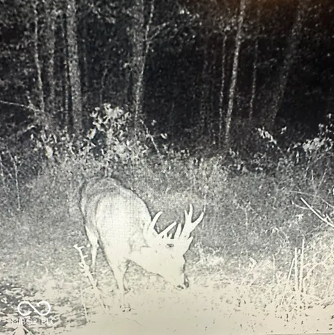 $485,000 | 8112 West County Road 1000 North, Jamestown, IN 46147