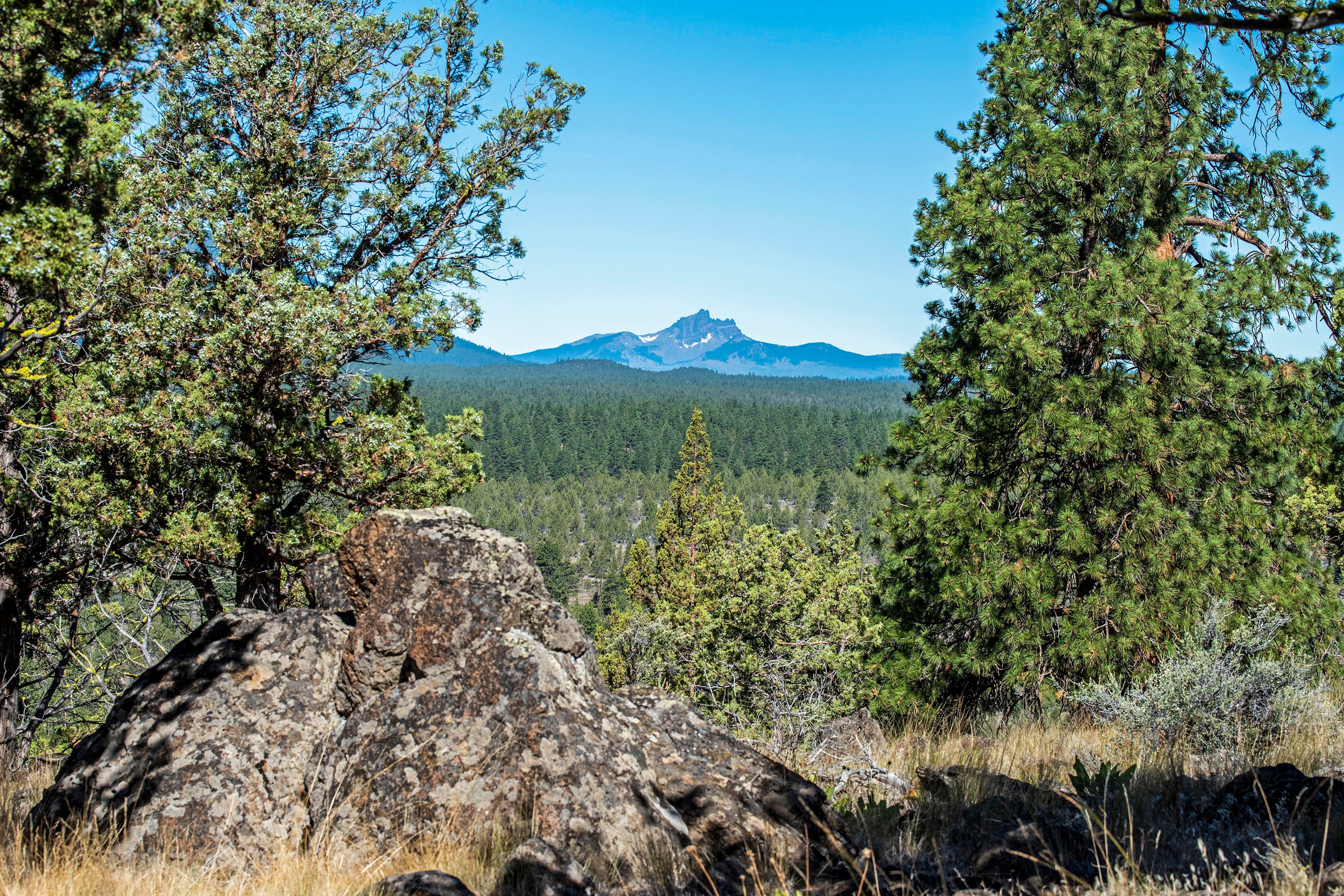 17990 Mountain View Road Sisters, OR 97759 - Photo 7 of 21 Natural rock outcroppings, Ponderosa Pines, Junipers, wild flowers, and an abundance of wild life, along with a private, peaceful, big view setting. Amazing dark sky nights!