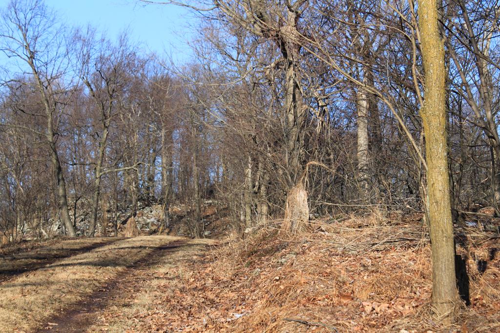 . Corbin Road Huntingdon, PA 16652 - Photo 23 of 23 Gallery Image 23